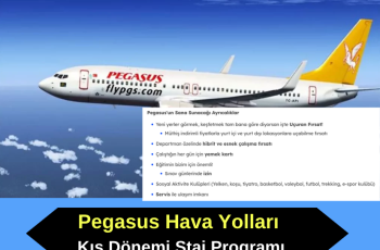 Pegasus Airlines Kış Dönemi Staj Programı Pegasus Airlines Kış Dönemi Staj Programı