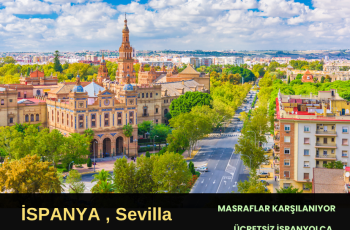 İspanya , Sevilla : 5 Ay Gönüllülük Projesi İspanya , Sevilla : 5 Ay Gönüllülük Projesi
