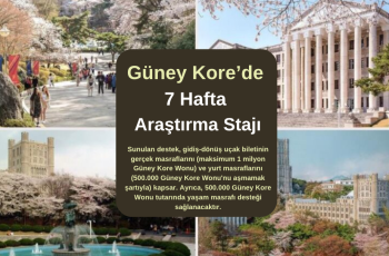 Güney Kore : 7 Hafta Araştırma Stajı