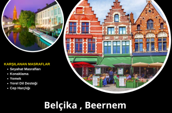 Belçika , Beernem : 6 Ay veya 1 Yıl Gönüllülük Projesi