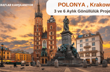 Polonya , Krakow : 3 ve 6 Aylık Gönüllülük Projeleri Polonya , Krakow : 3 ve 6 Aylık Gönüllülük Projeleri