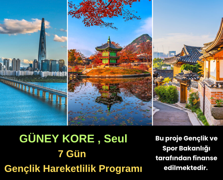 Güney Kore: 7 Gün Gençlik Hareketlilik Program