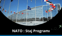 Nato Staj Programı: Aylık Maaş 1.286 Euro Nato Staj Programı: Aylık Maaş 1.286 Euro