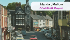 İrlanda , Mallow : Gönüllülük Projesi İrlanda , Mallow : Gönüllülük Projesi