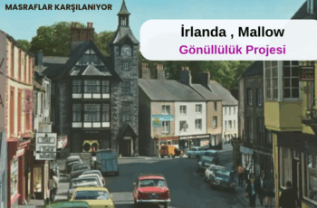 İrlanda , Mallow : Gönüllülük Projesi