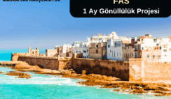 Fas , Tiznit : 1 Ay Gönüllülük Projesi Fas , Tiznit : 1 Ay Gönüllülük Projesi