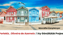 Portekiz , Oliveira de Azemeis : 1 Ay Gönüllülük Projesi Portekiz , Oliveira de Azemeis : 1 Ay Gönüllülük Projesi