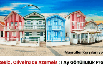 Portekiz , Oliveira de Azemeis : 1 Ay Gönüllülük Projesi Portekiz , Oliveira de Azemeis : 1 Ay Gönüllülük Projesi