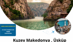 Kuzey Makedonya , Üsküp : 1 Ay Gönüllülük Projesi