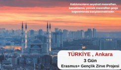 Ankara : 3 Gün Erasmus+ Gençlik Zirvesi Programı