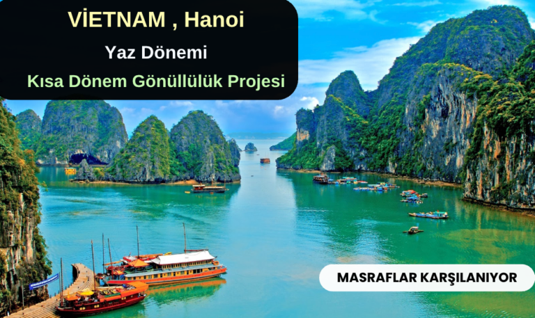 Vietnam , Hanoi : Yaz Dönemi 1 Ay Gönüllülük Projesi