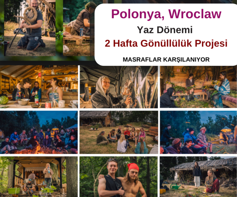 Polonya , Wroclaw : Yaz Dönemi 2 Hafta Erasmus+ Projesi